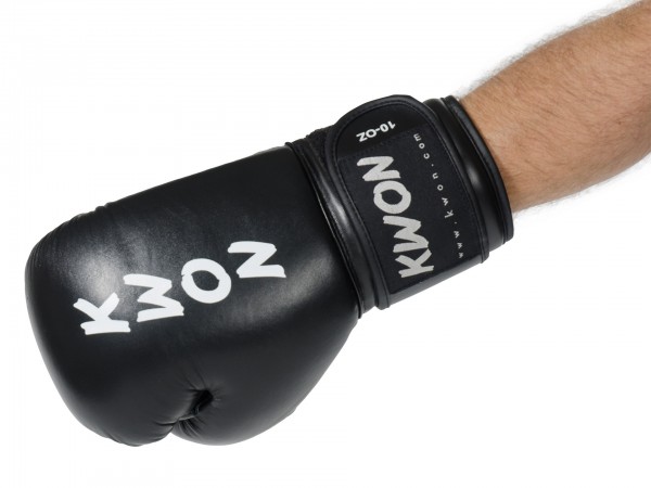 Boxhandschuhe Ergo Champ