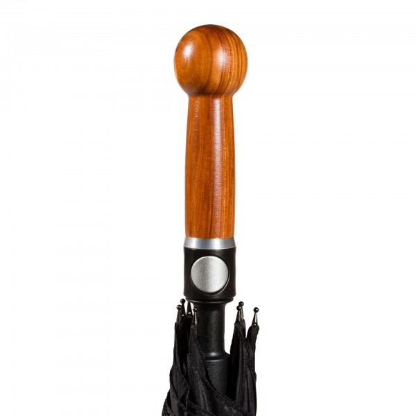 Selbstverteidigungsschirm