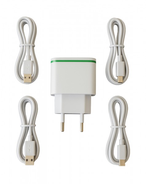 WAYCHAMP Ladegerät Professional - WT anerkannt