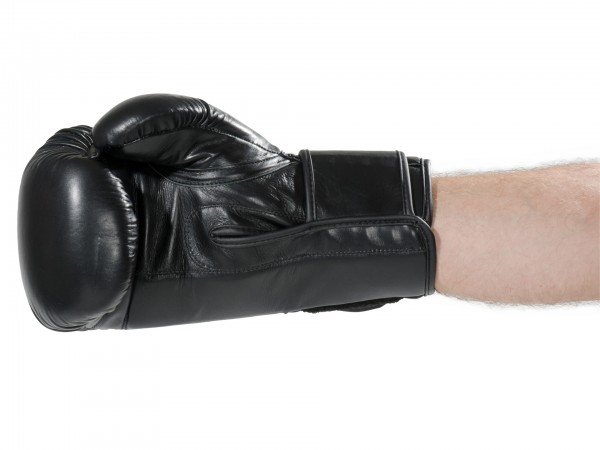 Boxhandschuhe Ergo Champ